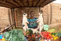 ویدئو| غذای روستایی در کنیا؛ پخت یک غذای سنتی با خرگوش و سبزیجات