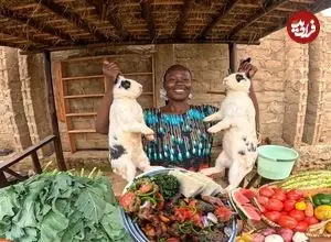 ویدئو| غذای روستایی در کنیا؛ پخت یک غذای سنتی با خرگوش و سبزیجات