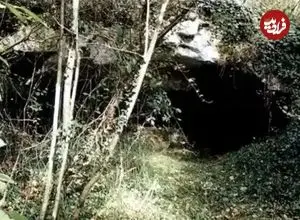 حکاکی‌های شگفت‌انگیزی که 25 هزار سال قبل در این غار خلق شده‌اند