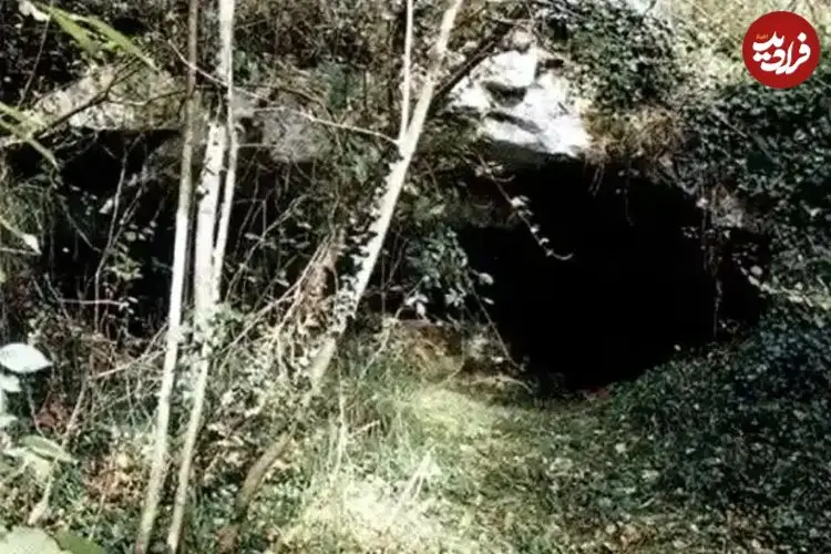 حکاکی‌های شگفت‌انگیزی که 25 هزار سال قبل در این غار خلق شده‌اند