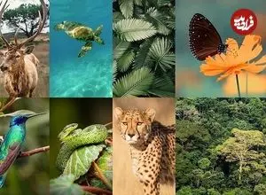 موجوداتی که پس از قرن‌ها دوباره نفس می‌کشند! | برخی ساکنان ۱۰۰ هزار ساله زمین دوباره بیدار شدند