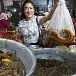 ببینید| غذای روستایی در کامبوج؛ پخت مارماهی با قارچ و فلفل