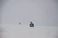 هفته زمستانی در ایران؛ برف و باران و سرما