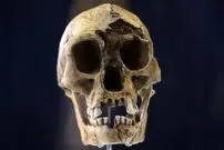 خشکسالی، گرسنگی و مواجهه با انسان خردمند، آخرین فصل زندگی هابیت‌ها را رقم زد