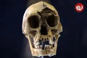 خشکسالی، گرسنگی و مواجهه با انسان خردمند، آخرین فصل زندگی هابیت‌ها را رقم زد