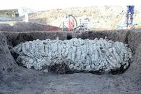 کشف یک گنجینۀ باورنکردنی از سکه‌های باستانی در ژاپن (تصاویر)