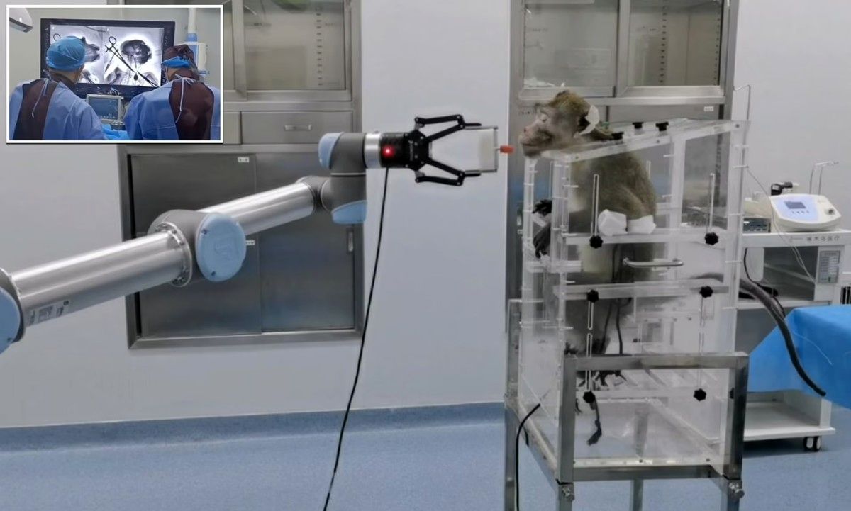 این تراشه مغزی به میمون ها اجازه می‌دهد بازوی رباتیک را با ذهن کنترل کنند