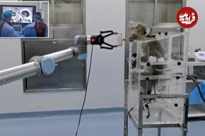 این تراشه مغزی به میمون ها اجازه می‌دهد بازوی رباتیک را با ذهن کنترل کنند