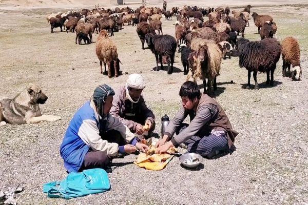 (ویدئو) روش پخت متفاوت سه چوپان افغان برای پخت مرغ و سبزیجات در دشت