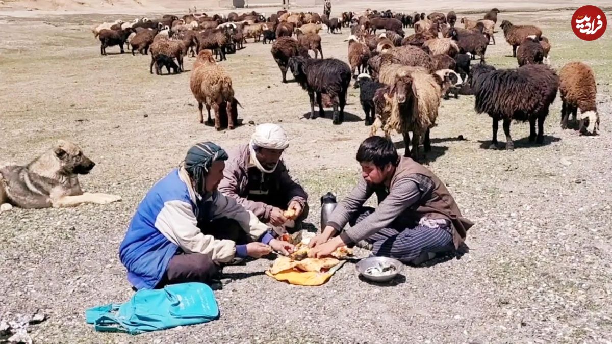 (ویدئو) روش پخت متفاوت سه چوپان افغان برای پخت مرغ و سبزیجات در دشت