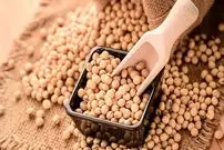 تفاوت سویا و آجیل سویا چیست؟