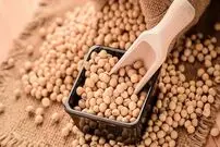 تفاوت سویا و آجیل سویا چیست؟