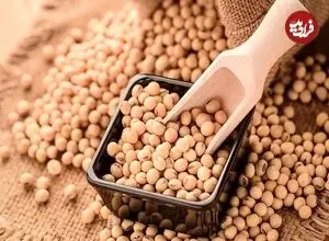 تفاوت سویا و آجیل سویا چیست؟