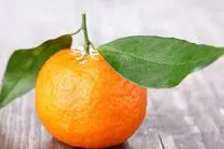 پرتقال ماندارین چیست و چه خواص دارد؟