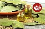 خواص درمانی و شگفت انگیز برگ یک گیاه
