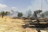(تصاویر) به دنبال آتش گرفتن گورستان باستانی «دارالسلام»؛ گورستان‌ها را چگونه نابود نکنیم؟