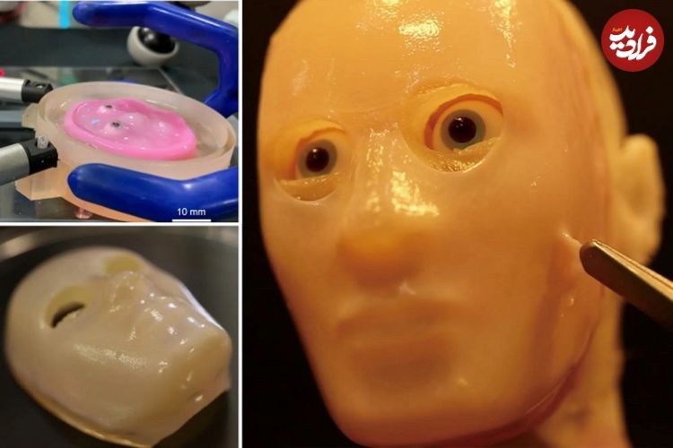(ویدئو) ربات انسان‌ نمای ژاپنی با پوست واقعی از بافت زنده