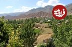 تصاویر؛ طبیعت روستای چاشم؛ مقصدی بکر و آرام در شمال شهمیرزاد