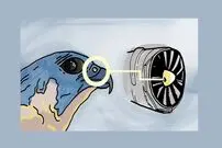  مطرح ترین بمب افکن‌ها را با الهام از این پرنده ساختند!