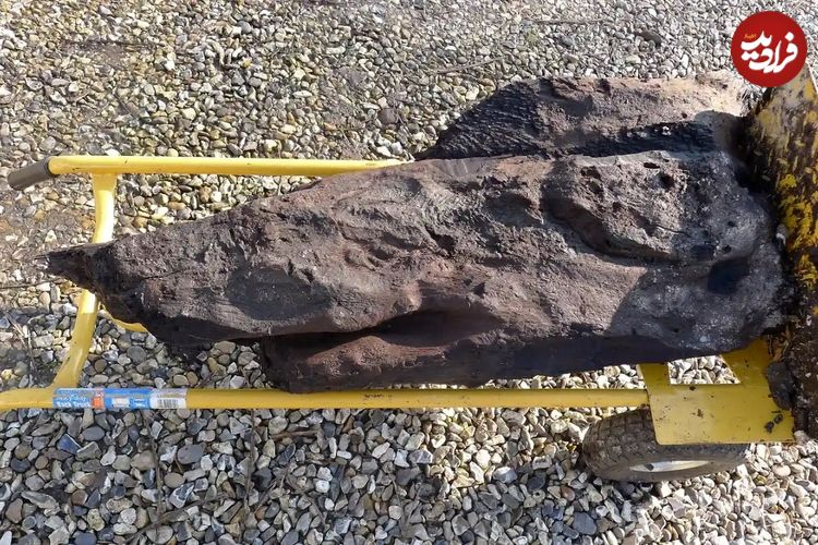 کارگران ساختمانی یک قطعه «چوب» کشف کردند که باستان‌شناسان را حیرت‌زده کرد! 