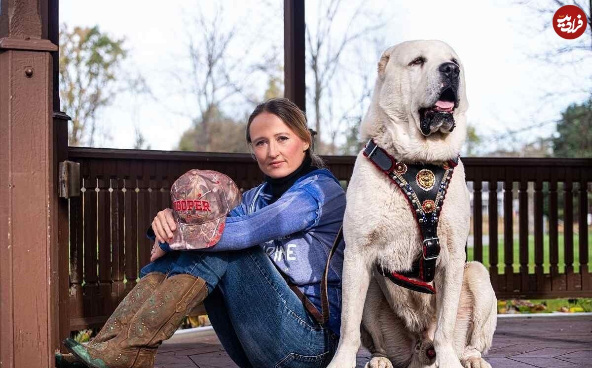 (تصاویر) سگ آلابای؛ سگی که پوتین عاشق آن است و نماد غرور ملی ترکمنستان است