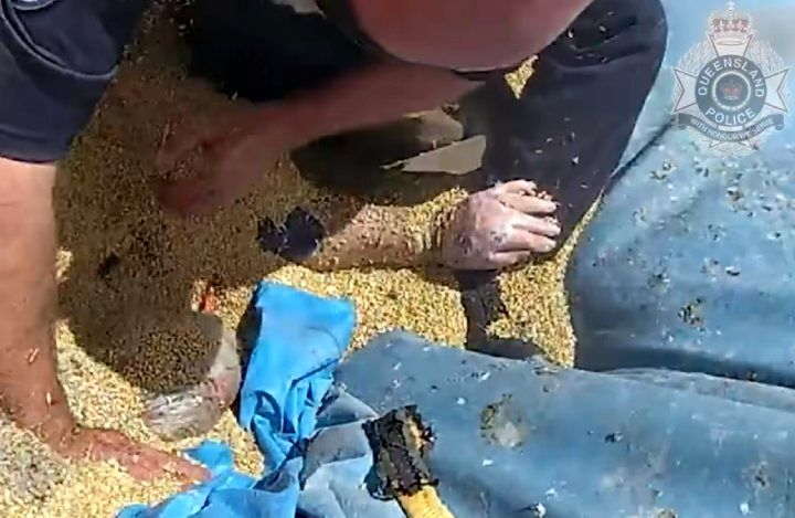 پلیس، مرد نگون بخت را از غرق شدن در گندم نجات داد