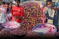 ببینید| غذای خیابانی در پاکستان؛ تهیه آب فالسا در کراچی