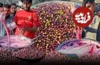 ببینید| غذای خیابانی در پاکستان؛ تهیه آب فالسا در کراچی