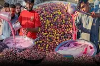 ببینید| غذای خیابانی در پاکستان؛ تهیه آب فالسا در کراچی