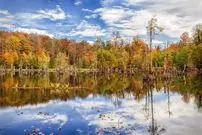 ۵ تا از جاذبه‌هایی از طبیعت که در پاییز چهره دیگری دارند