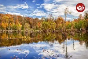 ۵ تا از جاذبه‌هایی از طبیعت که در پاییز چهره دیگری دارند