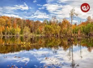 ۵ تا از جاذبه‌هایی از طبیعت که در پاییز چهره دیگری دارند