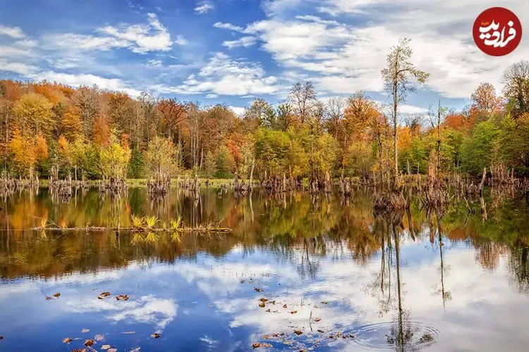 ۵ تا از جاذبه‌هایی از طبیعت که در پاییز چهره دیگری دارند