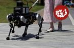 ساخت ربات سگ‌سان برای کمک به کم بینایان!