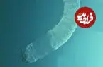 ببینید| تصاویر شگفت‌انگیز از موجودی نادر در اعماق اقیانوس