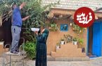 ببینید| غذای روستایی در ایران؛ پخت سالاد الویه به روش یک زوج روستایی