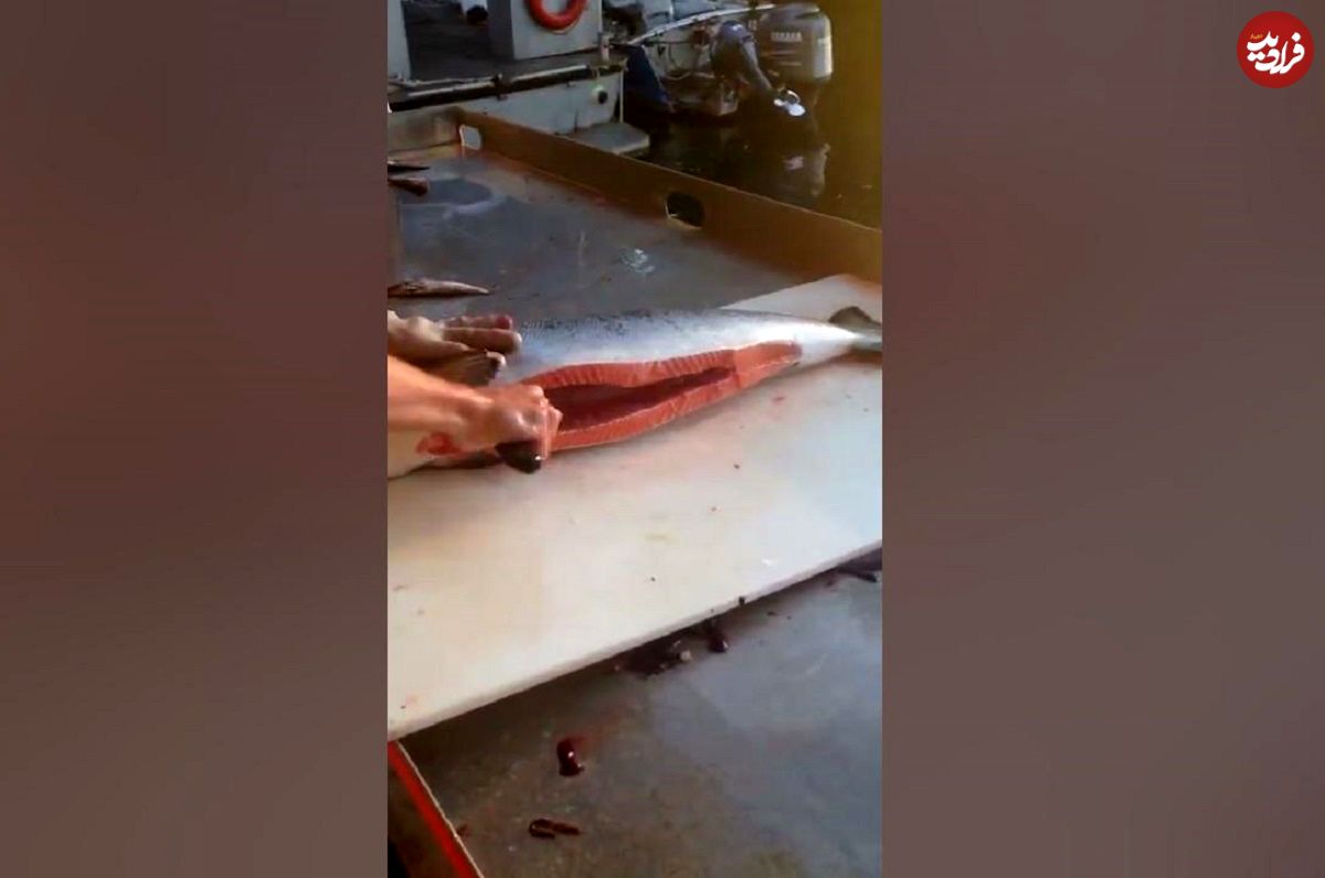 (ویدئو) سرعت خیره کننده این مرد جوان در برش زدن ماهی سالمون
