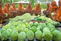 ببینید| غذای روستایی در هند؛ پخت خوراک کاری با 100 کیلو کلم و 100 تخم مرغ