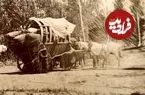 عکس| سفر به ایران قدیم؛ سه «درشکه» در جادۀ قزوین به تهران در دوران قاجار