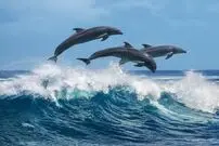 ۱۵ حقیقت جالب و خواندنی درباره ناف که نمی‌دانستید