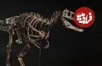 «شکارچی 67 میلیون ساله» به قیمت 9 میلیون دلار به حراج گذاشته می‌شود
