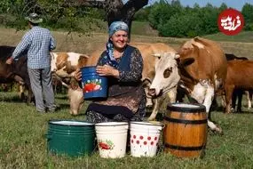 ببینید| غذای روستایی در آذربایجان؛ تهیه پنیر خامه ای با شیر تازه گاو