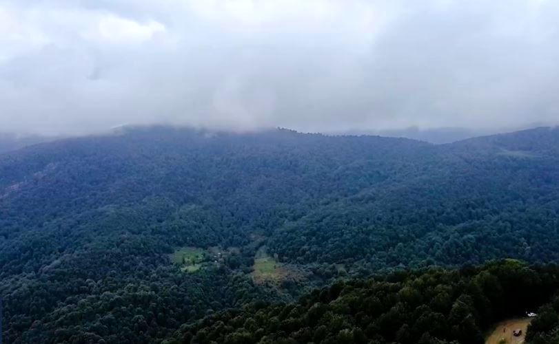 (ویدئو) نمایی افسونگر و شگفت انگیز از جنگل های هیرکانی استان گیلان