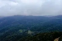 (ویدئو) نمایی افسونگر و شگفت انگیز از جنگل های هیرکانی استان گیلان