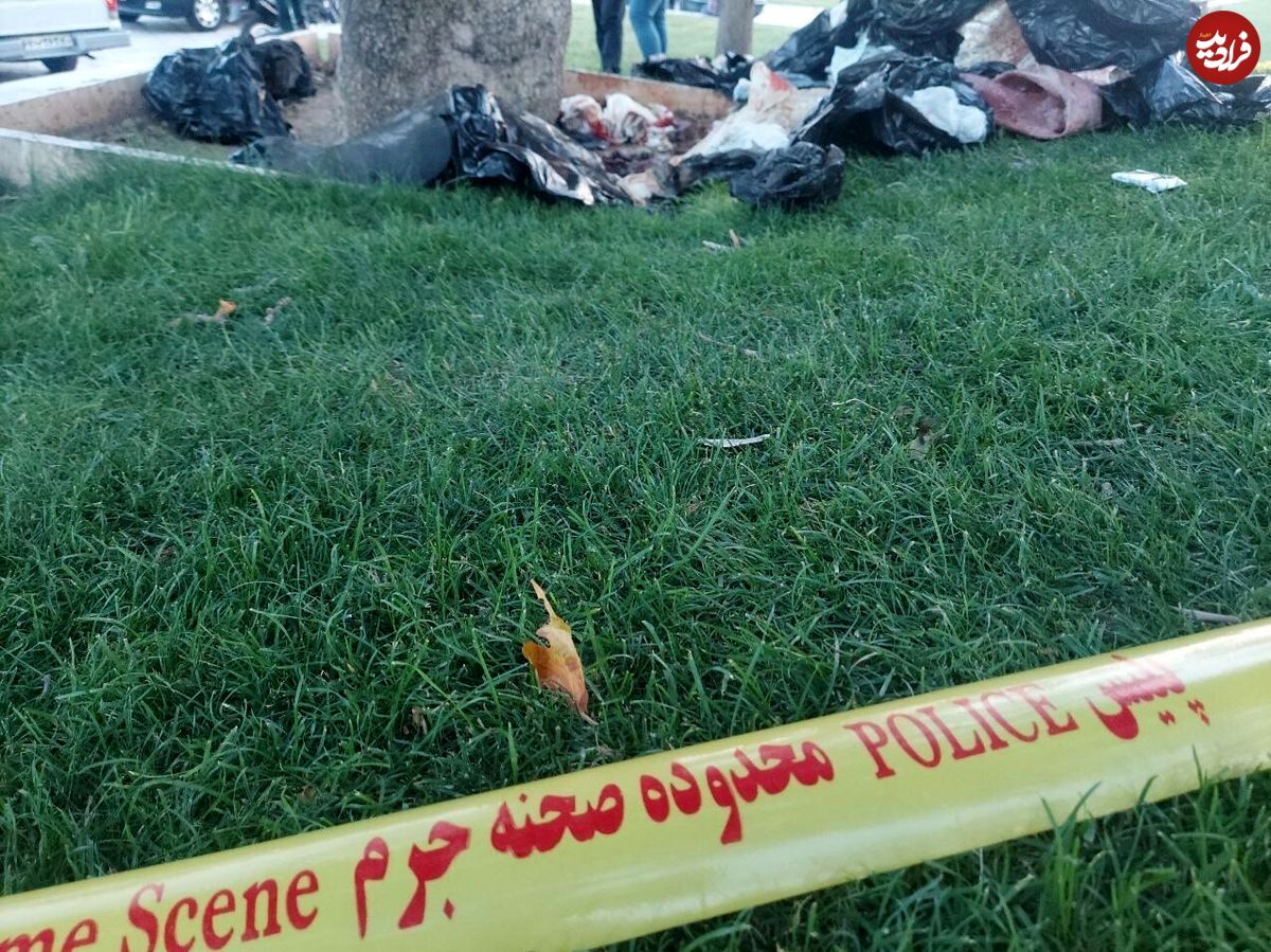 (تصاویر) کشف جسد تکه تکه شده زن جوان در میدان آزادی