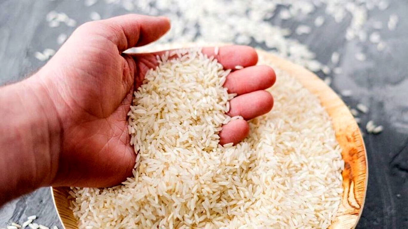 شوک دولت به بازار؛ افزایش ۳ تا ۱۰ هزارتومانی قیمت برنج!