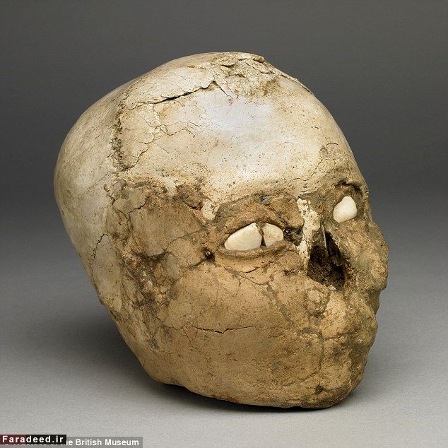 تصاویر/ بازسازی چهره مرد 9500 ساله