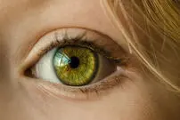 نقشه کامل چشم انسان؛ بررسی وظیفه و مکانیسم 15 جزء اصلی چشم + اینفوگرافیک