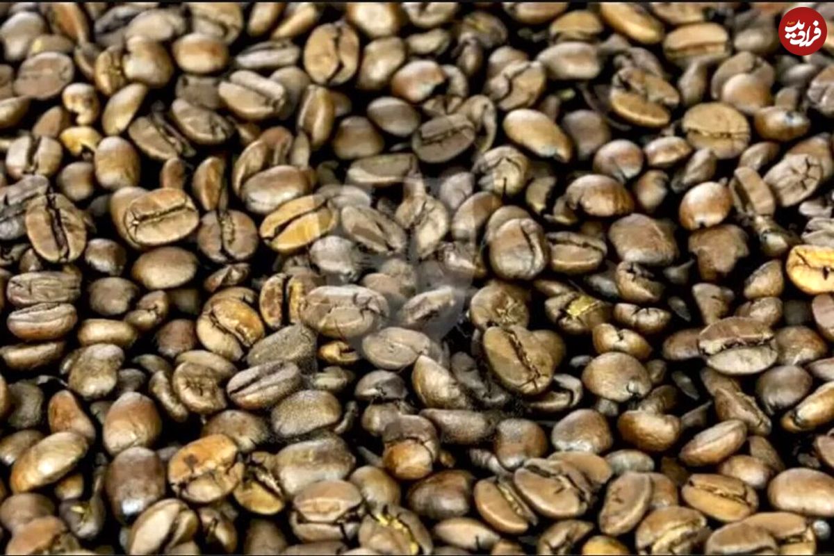 معمای توهم نوری جالب؛ سلبریتی مشهور را در میان دانه‌های قهوه بیابید!