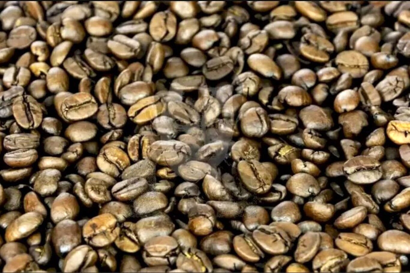 معمای توهم نوری جالب؛ سلبریتی مشهور را در میان دانه‌های قهوه بیابید!